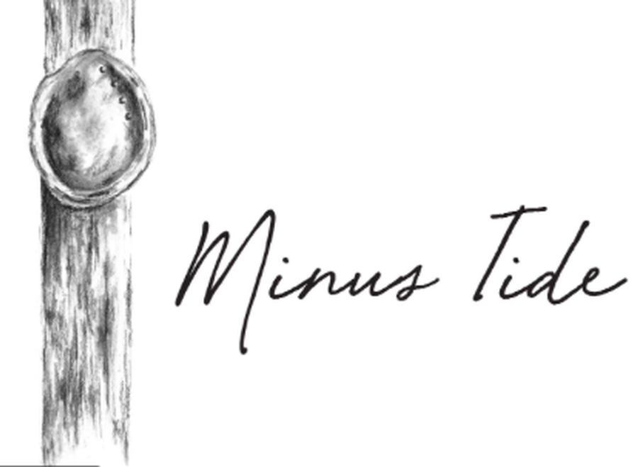 Minus Tide 2019 Chenin Blanc 1