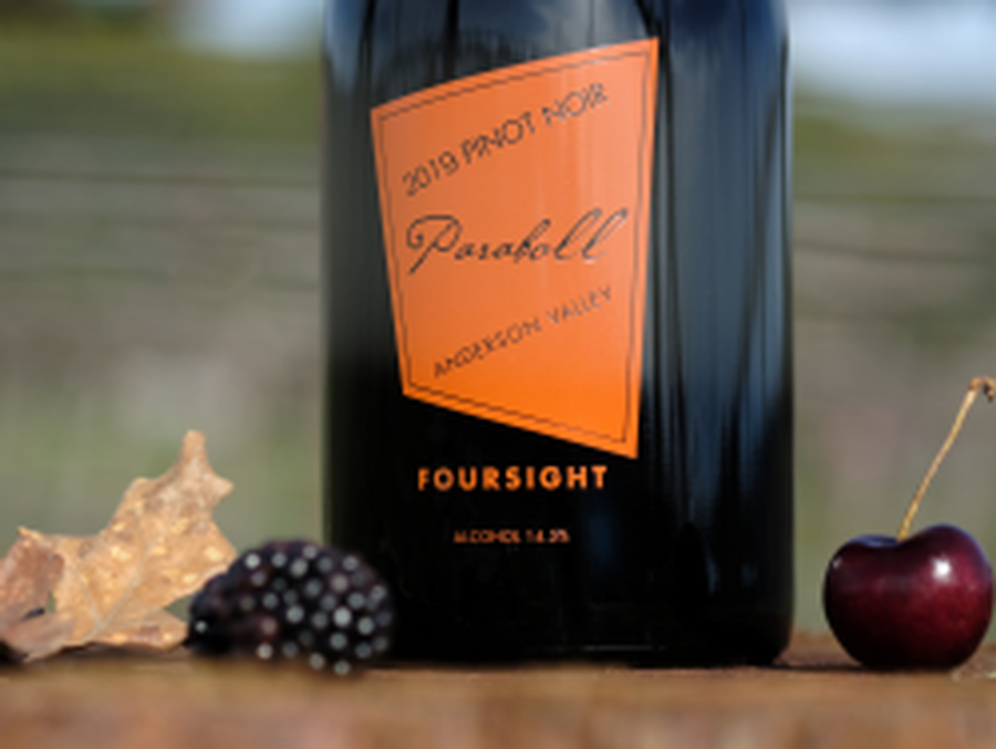 Foursight 2019 Paraboll Pinot Noir 1